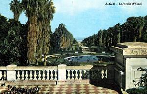 Alger - Jardin d'essai    